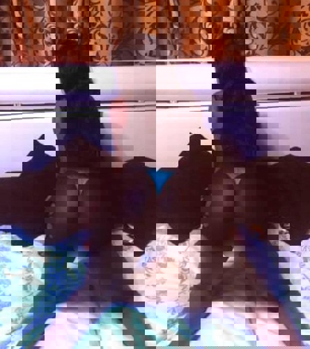 Cissy - +491632639344, +49163-2639344, 0163-2639344