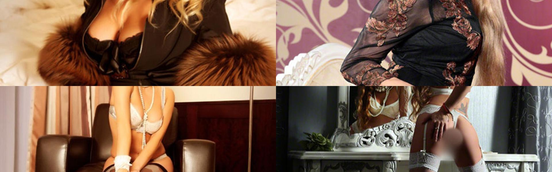 Immagine intestazione profilo