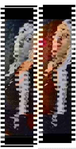 HOTAMANDASQIRTINGKNIGIN1 - +4917615791418, +49176-15791418, 0176-15791418