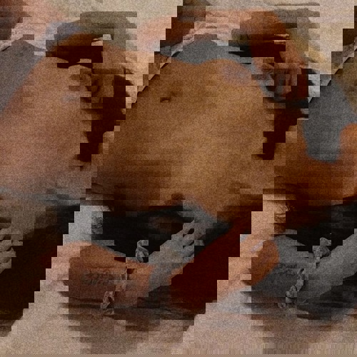 Elisa159 - +4915904724014, +491590-4724014, 01590-4724014