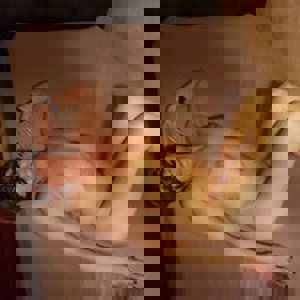 Profielfoto