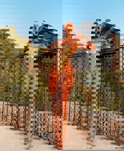 Lizz5 - +15033586527, +1503-358-6527, (503)-358-6527