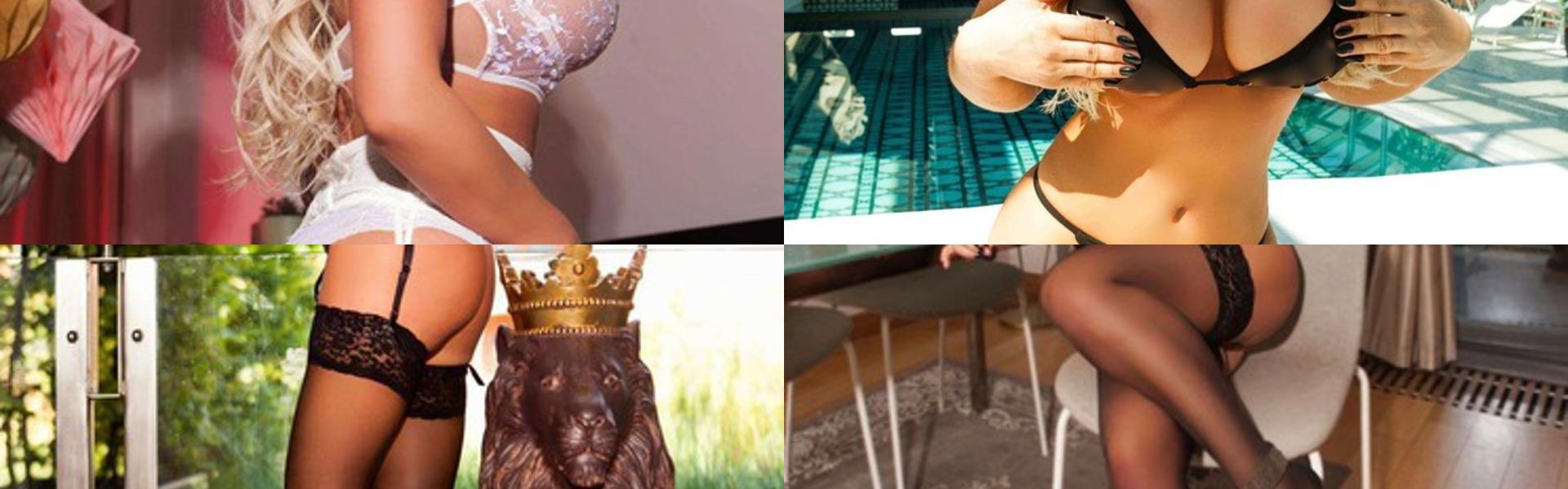 Profiel-headerafbeelding