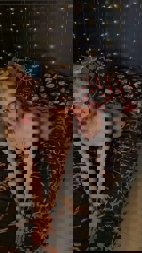 AVRosiTopService24H - +4915211853115, +491521-1853115, 01521-1853115