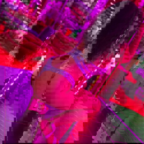 Mary1172 - +491728803043, +49172-8803043, 0172-8803043