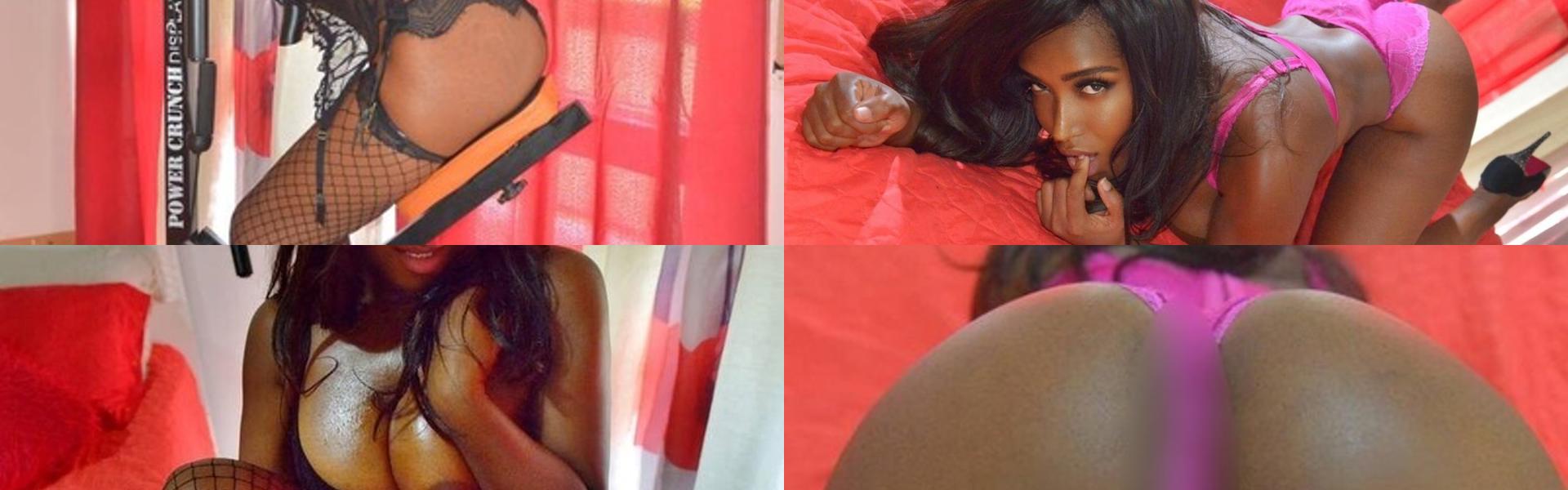 Profilio antraštės nuotrauka