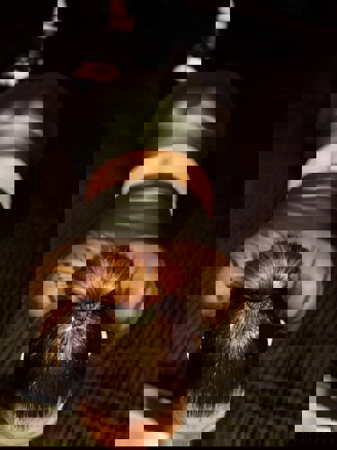 Isabelle172 - +491728216799, +49172-8216799, 0172-8216799