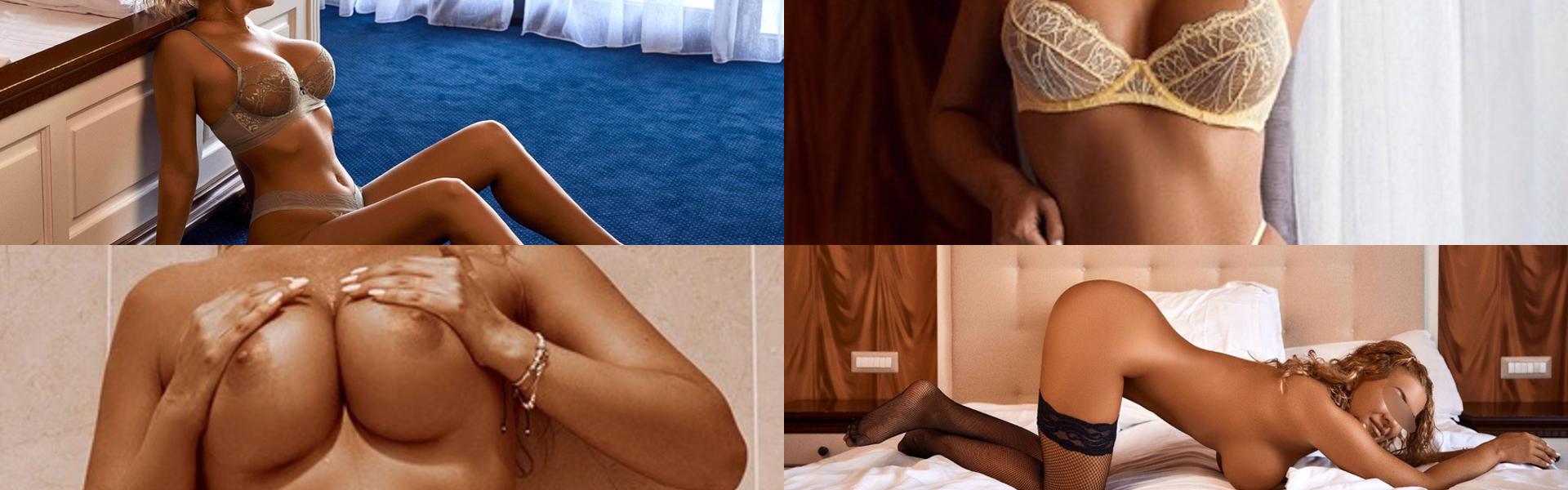 Imagen de encabezado del perfil