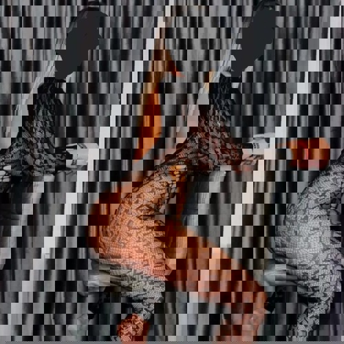 Ema15155114 - +4915511427366, +4915511-427366, 015511-427366