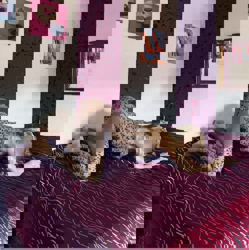 Kristin178 - +491781517659, +49178-1517659, 0178-1517659