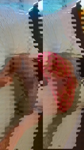 Betty15214 - +4915214201190, +491521-4201190, 01521-4201190