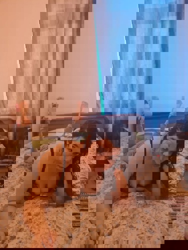 Meri116 - +491630022436, +49163-0022436, 0163-0022436