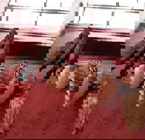 Ella115770 - +4915770932088, +491577-0932088, 01577-0932088