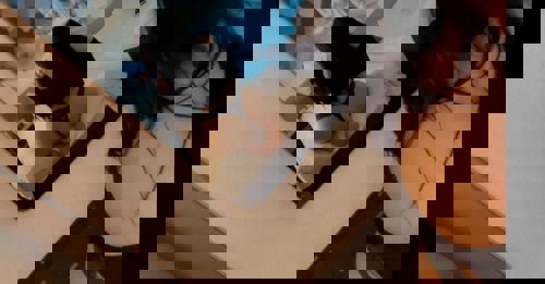 NeueTelnrSarahdeutschePerserinAV - +491783389443, +49178-3389443, 0178-3389443