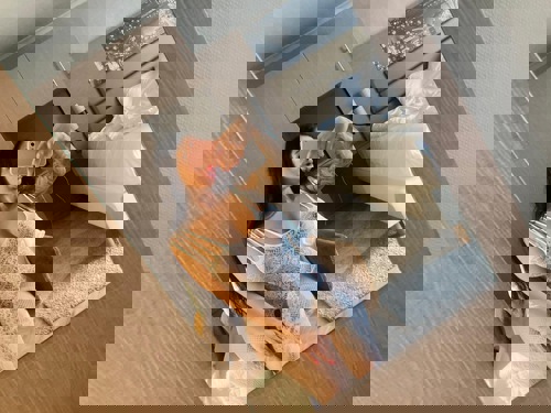 Shiva247erreichbar - +4915215254334, +491521-5254334, 01521-5254334