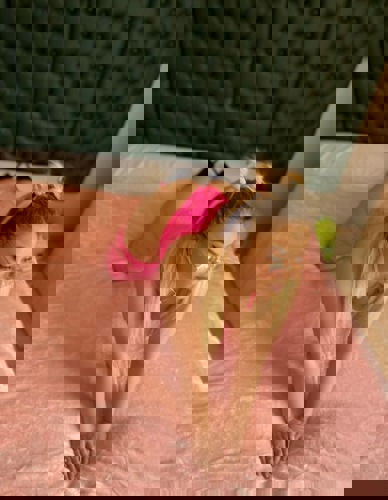 Briana1521 - +4915215493241, +491521-5493241, 01521-5493241