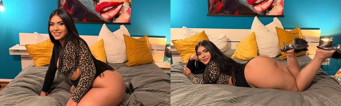 Imagine antet profil