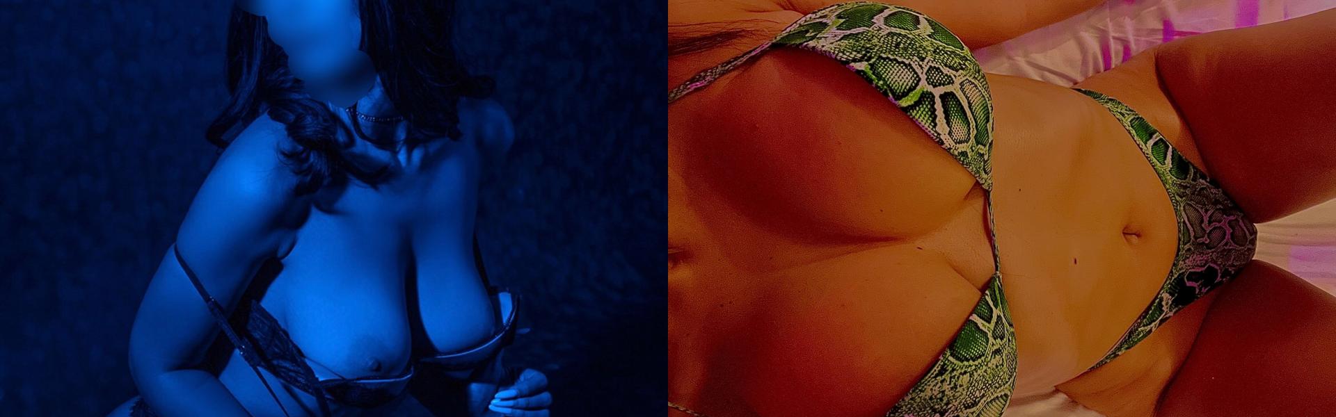 프로필 헤더 이미지