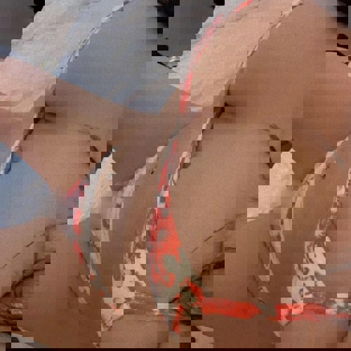 KarinaFranzExpertinGanzNewindieS