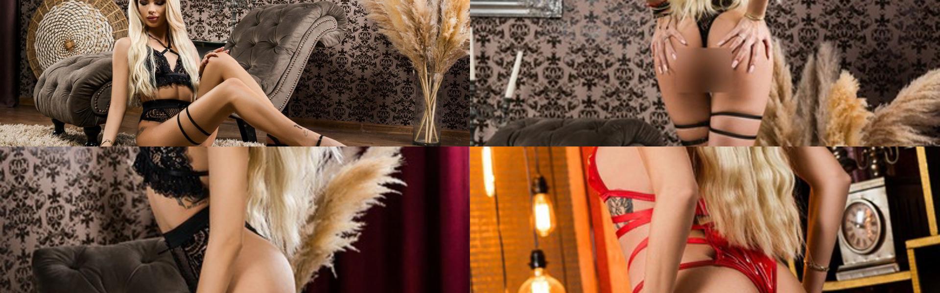 Заглавно изображение на профила