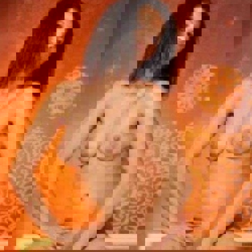 MelissaBRANDNEUINDERSTADT1