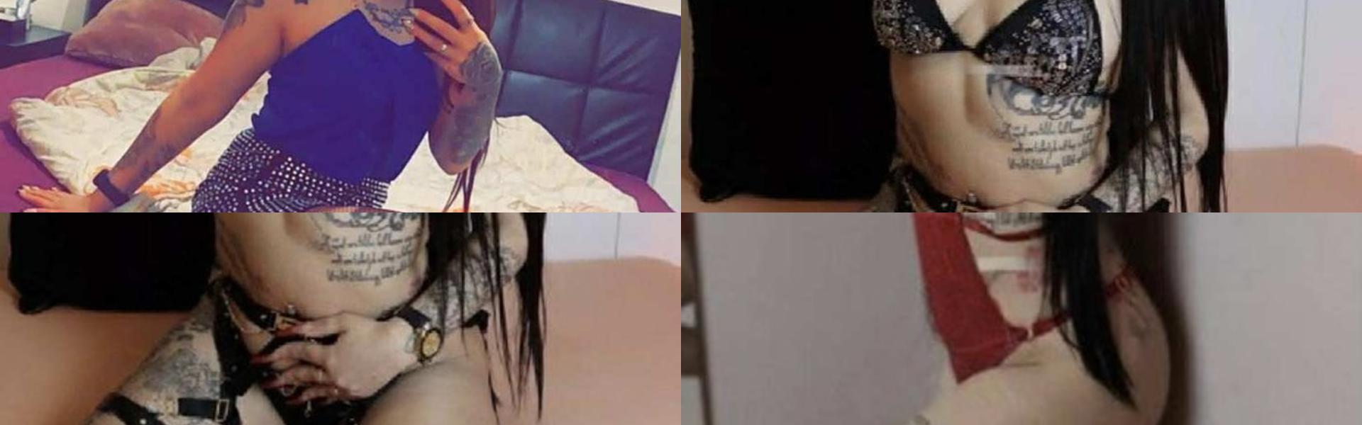 תמונת כותרת הפרופיל