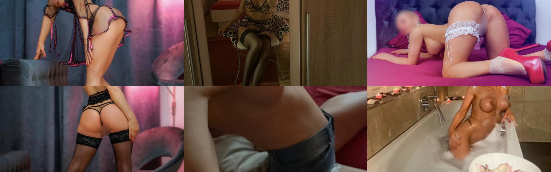 Záhlaví profilu
