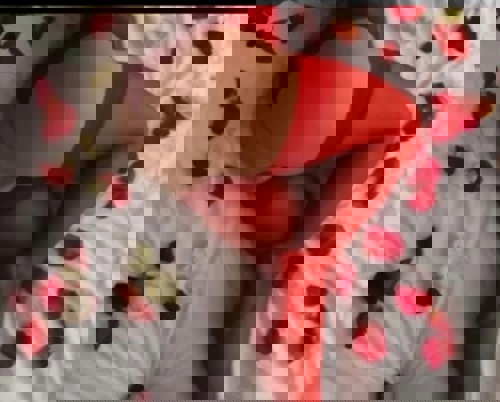 KlaudiaAVExpertin - +4915218620033, +491521-8620033, 01521-8620033