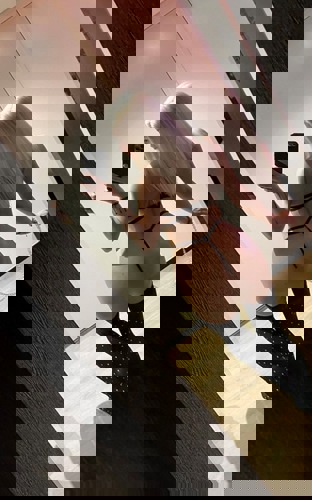 Aylin1512 - +4915124323913, +491512-4323913, 01512-4323913