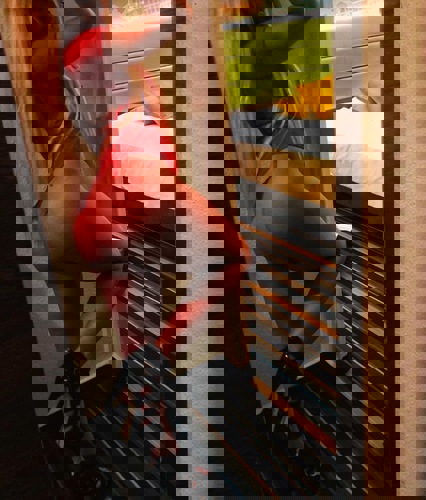 ShirinneueNummer1 - +491635842566, +49163-5842566, 0163-5842566