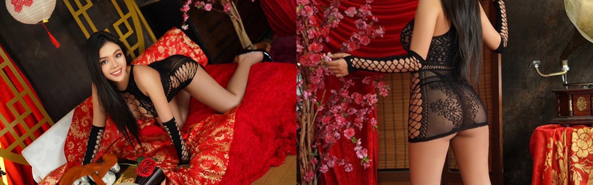 תמונת כותרת הפרופיל