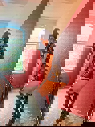 VvianausBrasilien1 - +4917658053635, +49176-58053635, 0176-58053635