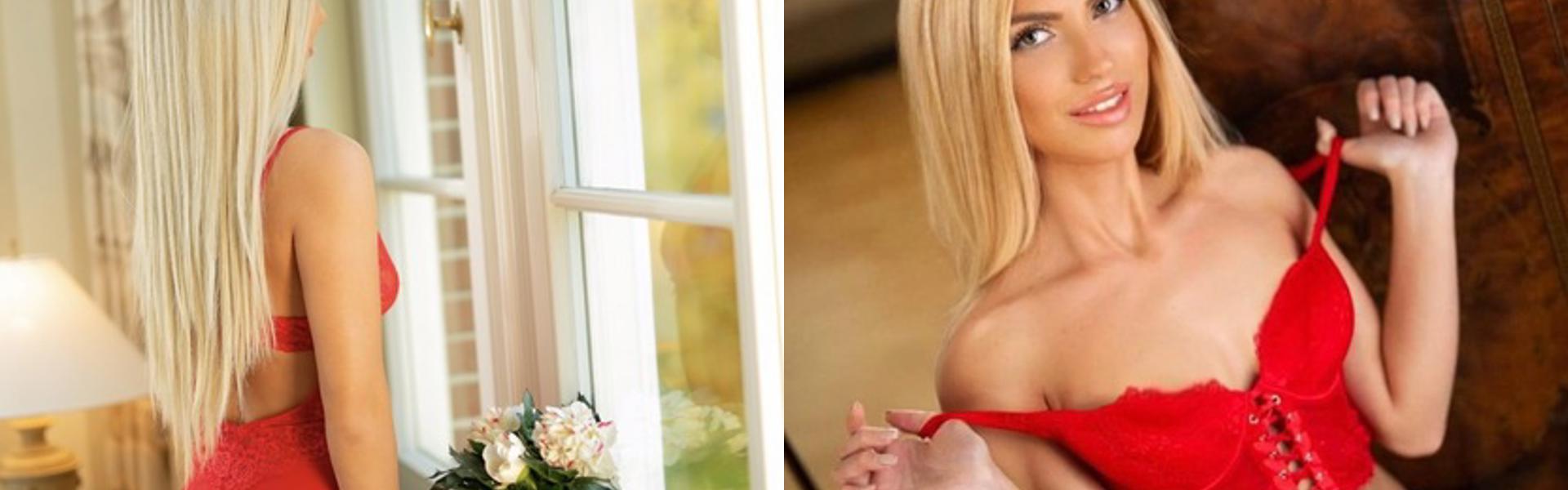 Immagine intestazione profilo