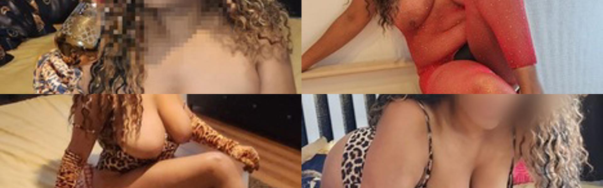 Profilio antraštės nuotrauka