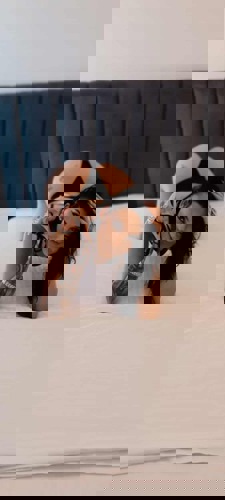 Anays15214 - +4915214114705, +491521-4114705, 01521-4114705