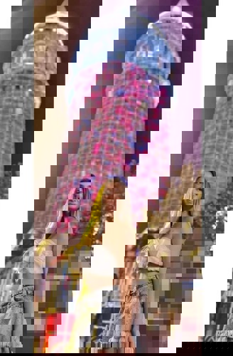 AnaMaria15214 - +4915214302985, +491521-4302985, 01521-4302985