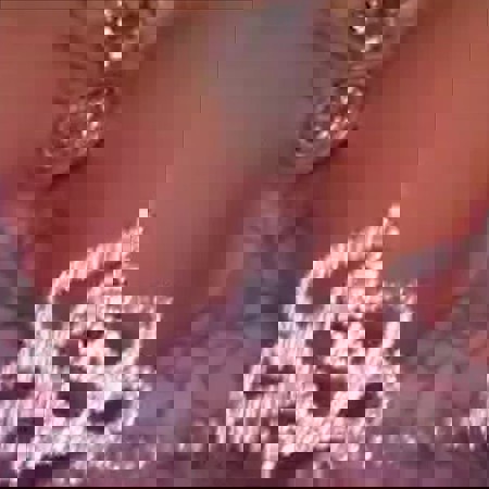 PamelaausPolenNEUENUMMER - +4915214300493, +491521-4300493, 01521-4300493