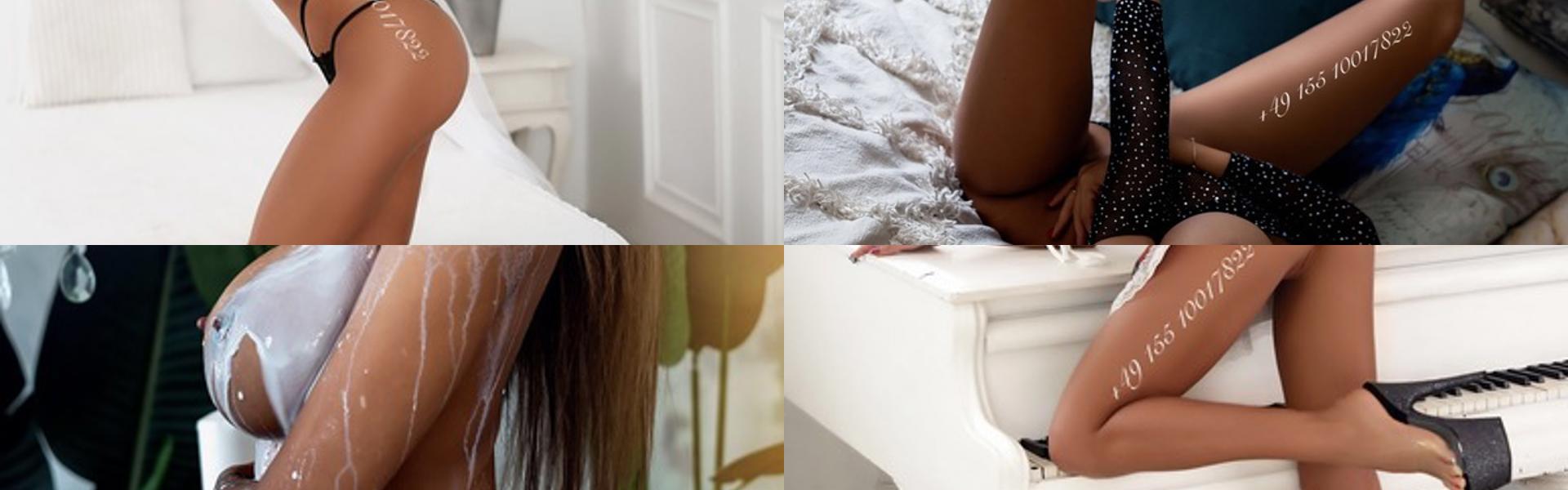 ภาพส่วนหัวโปรไฟล์