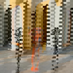 תמונת הפרופיל