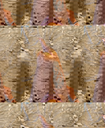 Vanessa151247 - +4915124787614, +491512-4787614, 01512-4787614