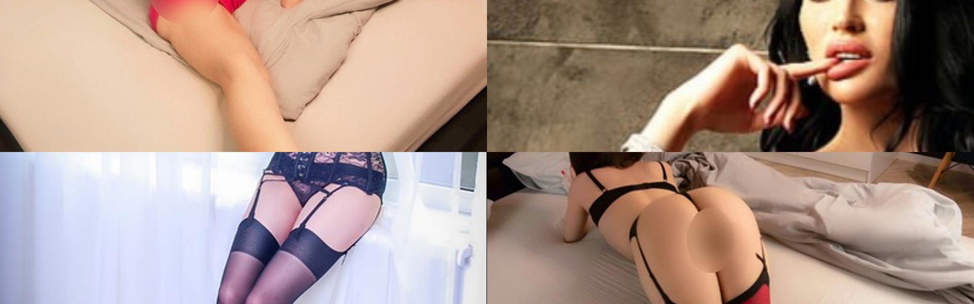 Zaglavna slika profila