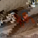 Immagine del profilo