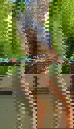 Aleksa - +491630080053, +49163-0080053, 0163-0080053