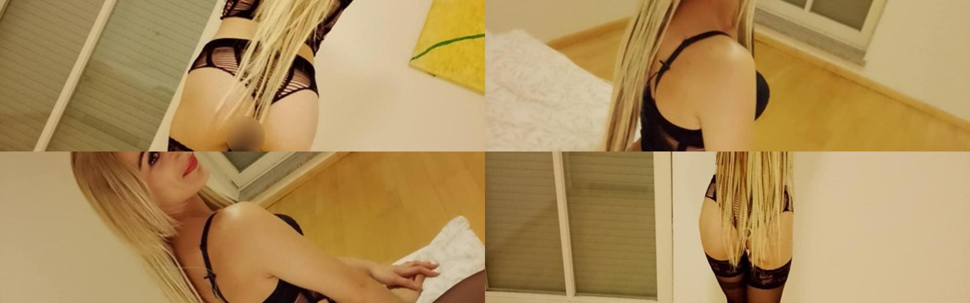 תמונת כותרת הפרופיל