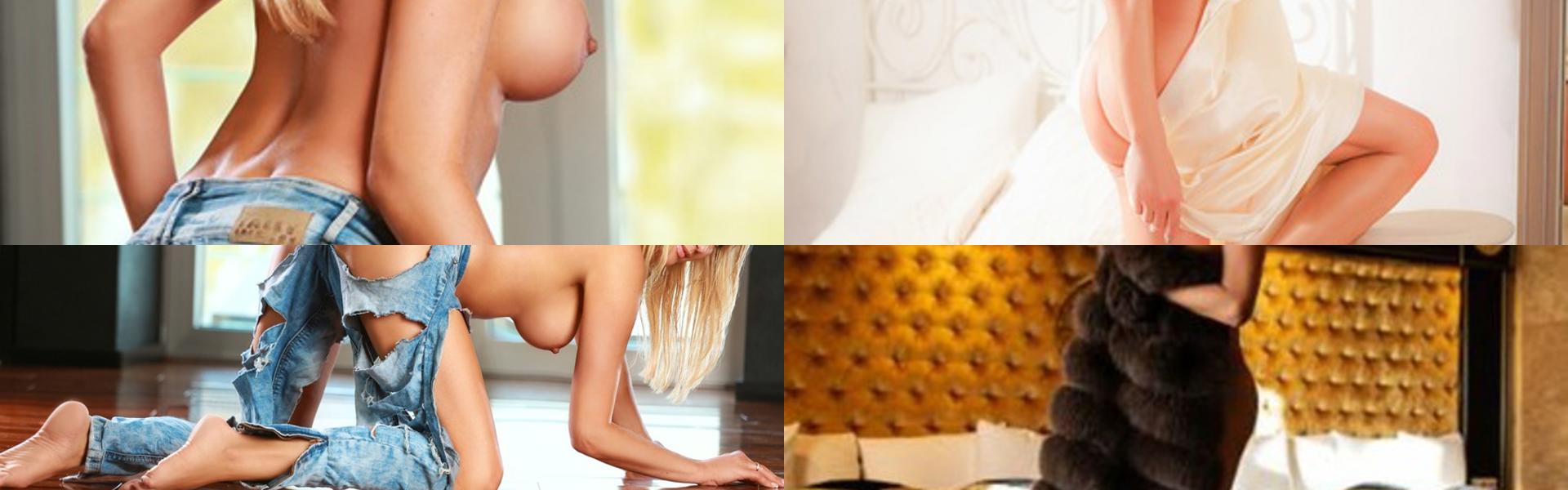 Zaglavna slika profila