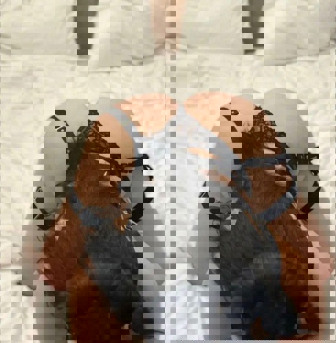 LiaBrandneu - +491638618853, +49163-8618853, 0163-8618853