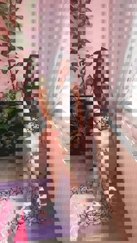 TinaBrandneu - +4915510311550, +4915510-311550, 015510-311550