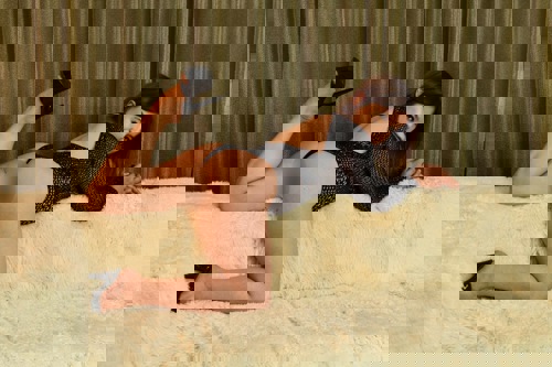 EVA15152118 - +4915211826436, +491521-1826436, 01521-1826436
