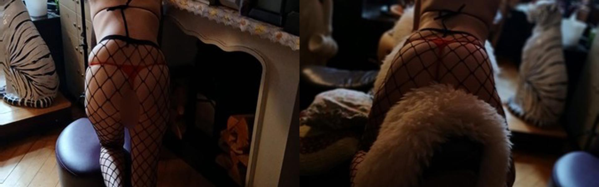 תמונת כותרת הפרופיל