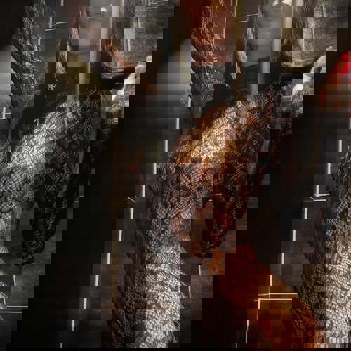 HeieEvaneuinderStadtPartyMaus176